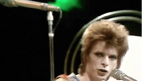 Ziggy Stardust supports your dreams